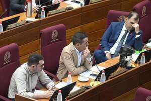 En Senadores, equiparan ley de maternidad para funcionarias electas - Política - ABC Color