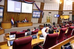 En medio de críticas, viceministro promete presentar en mayo proyecto de reforma del transporte público - Economía - ABC Color
