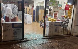Alarma de un local de electrodomésticos frustró la intención de dos ladrones – Diario TNPRESS
