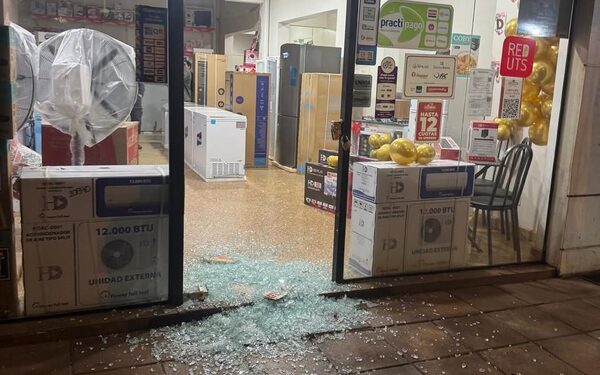 Alarma de un local de electrodomésticos frustró la intención de dos ladrones – Diario TNPRESS