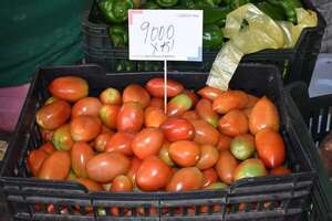 Feria de la Agricultura Familiar en la Costanera: estos son los productos en oferta - Nacionales - ABC Color