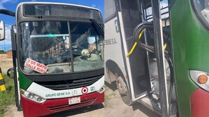 Colegiante fue atropellada por un colectivo