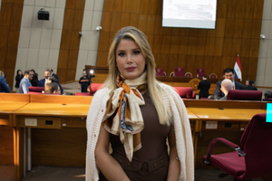 Mafia de pagarés: proponen modificar la ley penal para castigar las estafas masivas - Judiciales.net