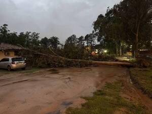 Temporal azotó a Ñeembucú y causó numerosos destrozos - 1000 Noticias