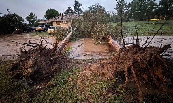 Tormentas y vientos de hasta 100 km/h dejan viviendas destechadas y árboles caídos en Ñeembucú – Prensa 5