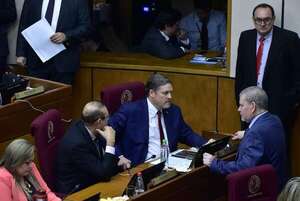 Colorados y satélite copan comisión que “controlará” el funcionamiento de las máquinas de votación  - Política - ABC Color