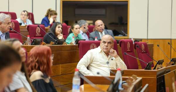 Diario HOY | Senadores reciben a médicos residentes: “Es momento de regular esto”