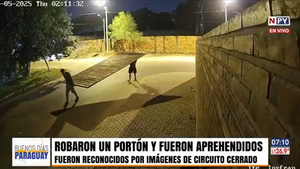 Hablando de portón: delincuentes son aprehendidos tras hurtar pesada estructura metálica en Luque