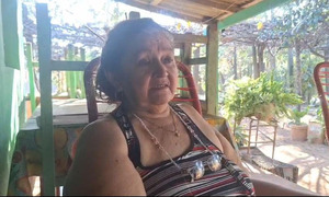 Delincuentes faenan vaca lechera y matan ternero de una pareja de abuelitos en Coronel Oviedo - OviedoPress