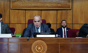 Senado anticipa sesión por celebraciones patrias - OviedoPress