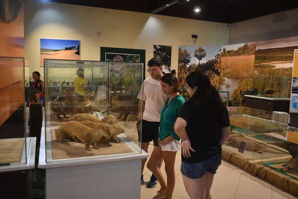 Atractivos turísticos naturales y tecnológicos estarán habilitados para el 14 y 15 de mayo en Ayolas - Nacionales - ABC Color