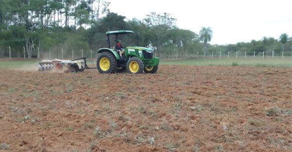Investigación sobre abonos verdes busca mejorar la estructura del suelo y promover una agricultura más sostenible