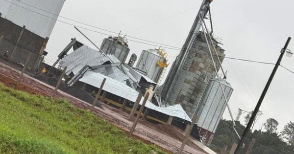 La Nación / Árboles caídos y familias afectadas tras temporal