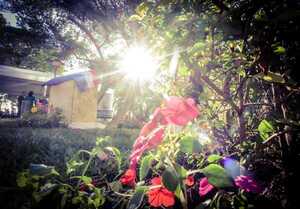 Fin de semana con ambiente fresco a cálido a nivel país - .::Agencia IP::.