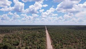 Fin de semana con ambiente fresco a cálido a nivel país - ADN Digital