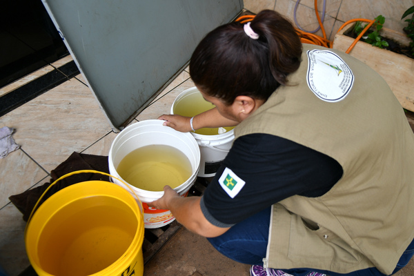 Salud confirma aumento de afectados por dengue y tres casos de chikungunya - La Clave