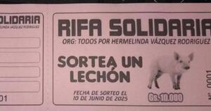 La Nación / Víctima de intento de feminicidio organiza una rifa para solventar cirugía