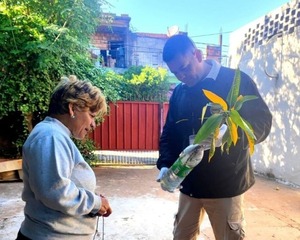 Dengue en ascenso: 114 casos confirmados y brotes en varias regiones del país - ADN Digital