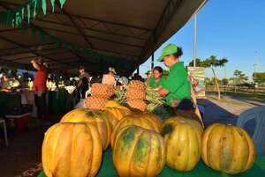 Ferias de agricultura familiar en tres sitios este martes - Economía - ABC Color