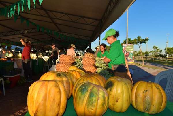Ferias de agricultura familiar en tres sitios este martes - Economía - ABC Color