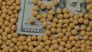 Banco Mundial prevé una caída del 7% en los precios del mercado internacional de alimentos