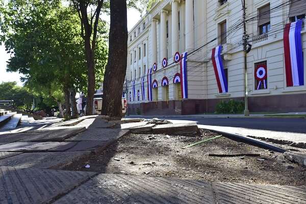 Asunción de Nenecho en deprimente estado, a días de las fiestas patrias - Nacionales - ABC Color