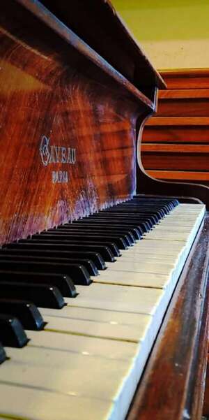 La Casa de la Música recibe el piano del maestro de la zarzuela paraguaya - Música - ABC Color