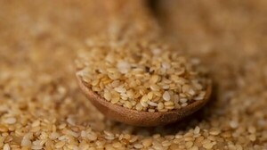 Envíos de semilla de sésamo repuntaron en el primer trimestre