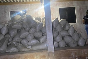 Incautan casi 7 toneladas de marihuana en operativos simultáneos en Amambay - ADN Digital