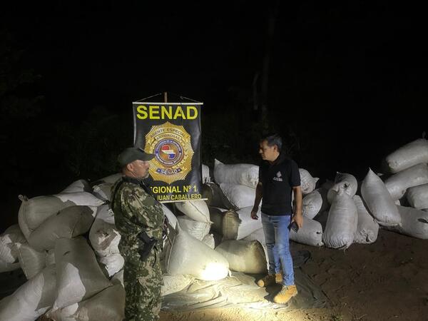 Neutralizan estructura de acopio y procesamiento de marihuana en zona rural de Amambay - 1000 Noticias