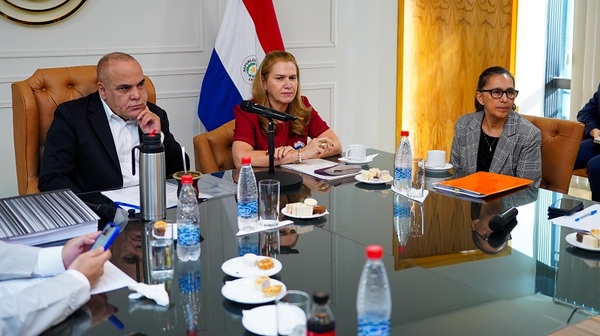 Ministra de Salud expuso ante senadores situación del sistema sanitario