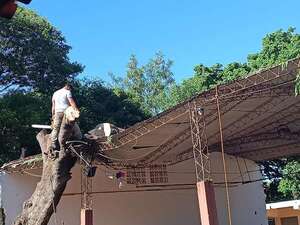 Poda de árbol salió mal: tronco cae sobre tinglado de escuela - Nacionales - ABC Color