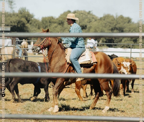 La Expo Rodeo Neuland esta noche por el Chaco Avanza