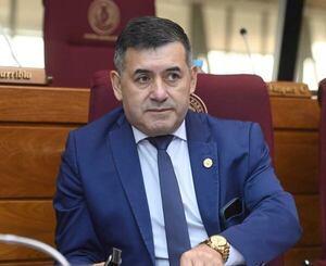 Diputado liberal plantea posible denuncia internacional si “manos negras” siguen intentando torcer proceso electoral - Política - ABC Color