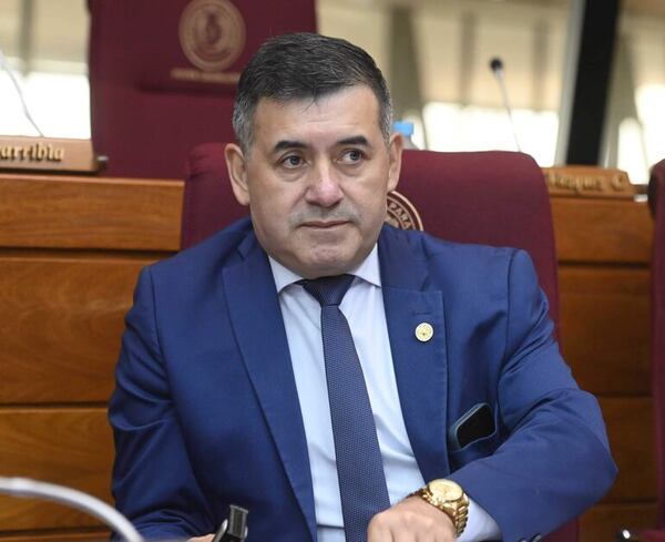 Diputado liberal plantea posible denuncia internacional si “manos negras” siguen intentando torcer proceso electoral - Política - ABC Color