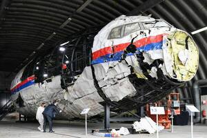 ONU determinó que Rusia derribó el avión de Malaysian Airlines - 1000 Noticias
