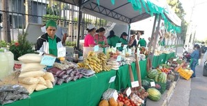 Tres ferias simultáneas de productos frutihortícolas se realizan en Central