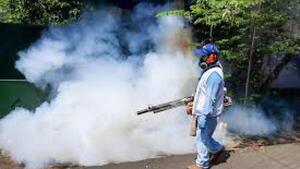 ¡Puentazo Nacional! Viernes de fumigación y descanso en varias instituciones públicas