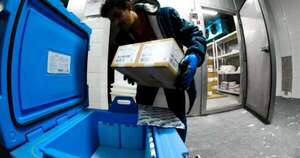 La Nación / Llegaron 400.000 dosis de vacunas y refuerzan campaña en los hospitales
