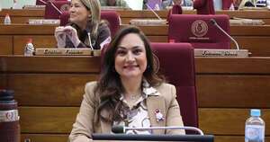 La Nación / “El Gobierno está haciendo patria”, afirma diputada