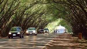 Triple accidente deja un fallecido en Santa Rita