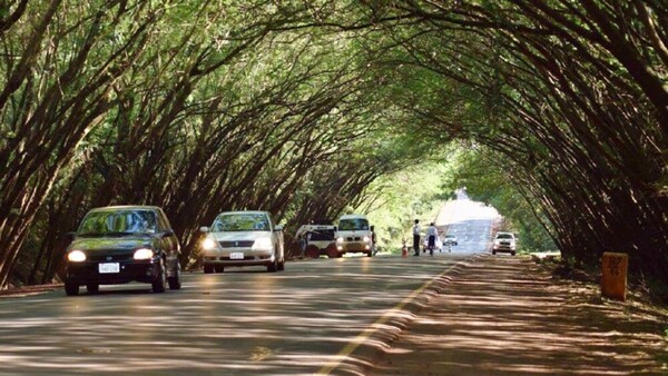 Triple accidente deja un fallecido en Santa Rita