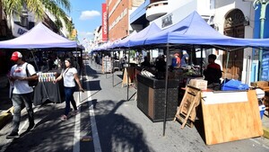 Municipalidad plantea trasladar a feriantes de Palma a la Plaza Uruguaya