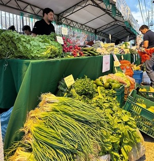 Ferias campesinas generan más de G. 266 millones en un solo día y benefician a 770 familias - ADN Digital