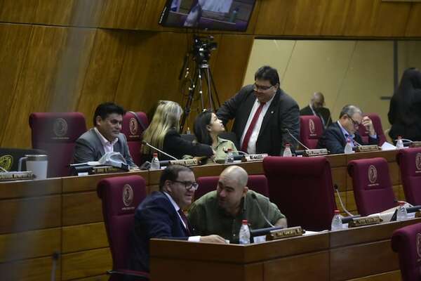 Rechazan a mansalva en Diputados proyectos que molestan al cartismo - Política - ABC Color