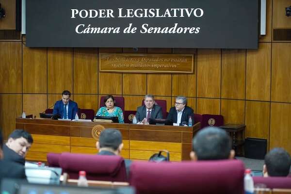 Senadores opositores piden la suspensión inmediata del llamado a licitación para la compra de máquinas de votación - Política - ABC Color