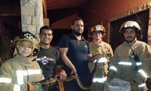 Encuentran una kuriju en una vivienda del barrio Sajonia