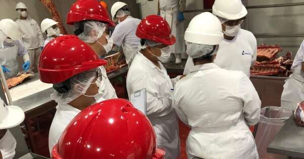 La Nación / Filipinas concluye auditoría para evaluar importación de carne paraguaya