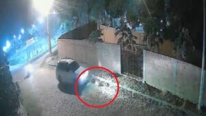 Taxista que arrolló a perritos que dormían en la calle fue derivado a la cárcel de Misiones