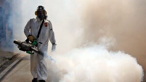 Preparan un “puentazo” con fumigaciones en días patrios